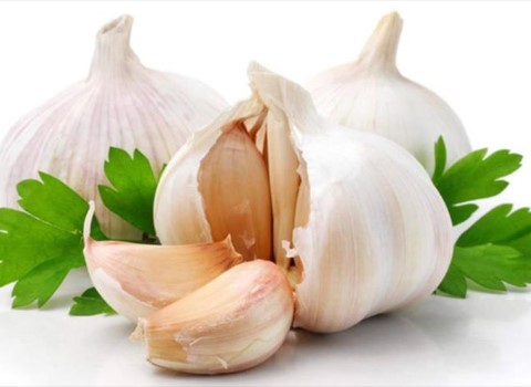 تصویر 2 از خرید و قیمت سیر مروارید همدان + فروش صادراتی